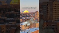 Koty w Czarnobylu też są #czarnobyl #chernobyl #kot #cat #memecat #memes