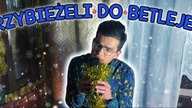 Jan Stosur - Przybieżeli do Betlejem