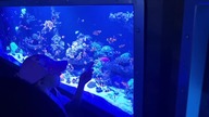 Oceanarium Kołobrzeg 2024