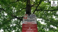 ... a pod naszymi lasami, w polskiej ziemi, nasze bogactwa i co ? to wszystko dla obcych inwestor&oa