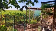 Piątek w Garden kuRaż cz. 2 KURY , KRÓLIKI, PAPUGI