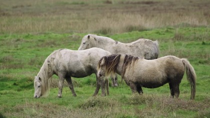 14730616 3840 2160 25fps