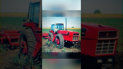 IH 2+2 Snoopy #matheo780