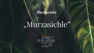 Słuchowisko #28 | Murzasichle | Krótki poradnik jak ogarnąć życie [PODCAST]