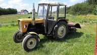 Orka zimowa i kultywator u Błażeja - filmy Widzów