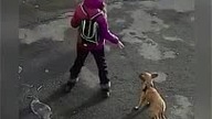 C&oacute;rka poligona...