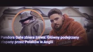 Kochankowie Gate: Prawda o Wardędze i Boxdelu! Zdrada, Manipulacje, Kłamstwa? (Stuu, Pandora Gate)