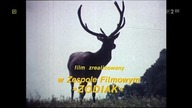 Złe dobrego początki (1983)