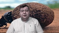 Trzy słowa do Wardęgi