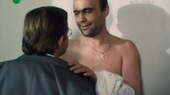 SPRAWA HRABIEGO ROTTERA (1987)