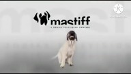 Mastiff TV Logo History (UPDATED)