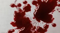 Mistrzowie horroru S01E12 lektor pl