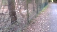 video 2012 08 13 18 21 23