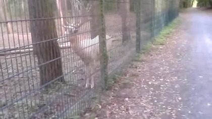 video 2012 08 13 18 21 23