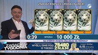 Miłe rozmowy