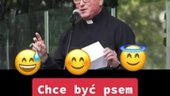 Chce być psem