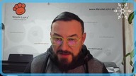 Jak pomóc psu przetrwać Sylwestra?