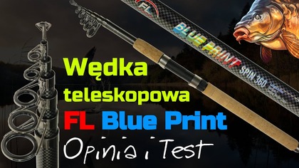 Wędka FL Blue Print (teleskopowa ) na ryby  Opinia