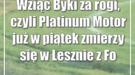 Wziąć Byki za rogi, czyli Platinum Motor już w piątek zmierzy się w Lesznie z Fogo Unią