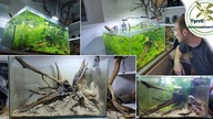 Zakładamy 100l akwarium naturalne na ziemi ogrodowej.