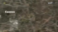 Życie w wolnym stylu Film dokumentalny / PL480p