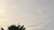 Sky Diuna 2 soundtrack