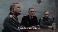 Mózg maturzysty dzień przed [360p]