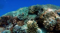 Relaxation Music In The Ocean