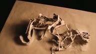 Dinozaury żyją.  Dokument