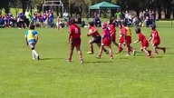 Nie wszystkie otyłe dzieci są słabe w sportach