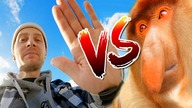 ANGRY JANUSZE VS JAZDA NA STREECIE