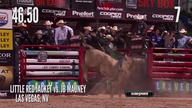 Rodeo 2015