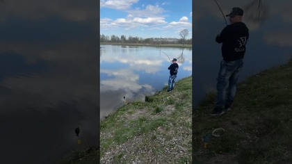 Najciekawsze momenty na żywo