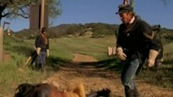 Dr Quinn s05e26 Lektor PL