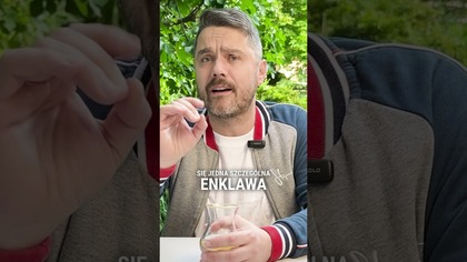 Dziś prawdziwe UK to imigranci