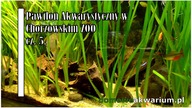 Pawilon akwarystyczny w Chorzowskim ZOO cz. 5.