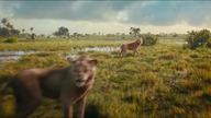 Mufasa: Król Lew (2024) 4K - Ucieczka