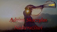 Adrian Skoczylas - Nadwrażliwi (2015)