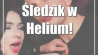 Śledzik w Helium [zdjęcia]