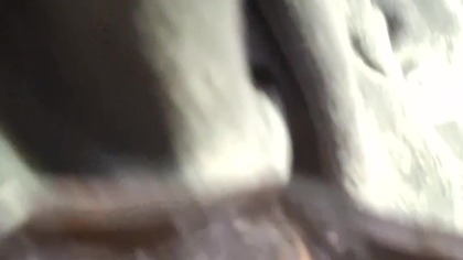 Strongi Leys # Shorts