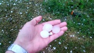 Grad na Powislu. Grad w Braciejowicach, 2017-06-29.