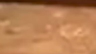 Postacie z Gier i Ich Aktorzy  Wiedźmin, Topór i Johnny Silverhand