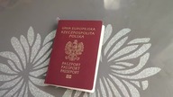 Szukamy czipa