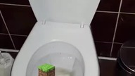 Testuję loda Minecraft (Big Milk)! Najlepszy test? 