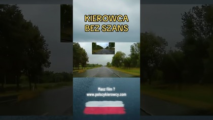 Sekunda i po wszystkim.  Sarna na drodze, kierowca bez szans.  #sarna #droga #wypadek #dashcam