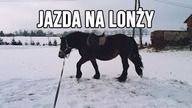 O jeździe na lonży