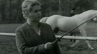 Przez dziewięć most&oacute;w