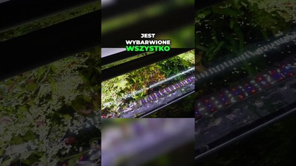 Sincor led 2.  Jak się spisują po roku ?