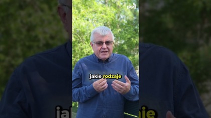 Czy jesteśmy głupim narodem? Niedziela 13:00 #wybory2025 #NauczaniePastora