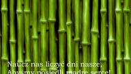 Demony- prawdziwa historia